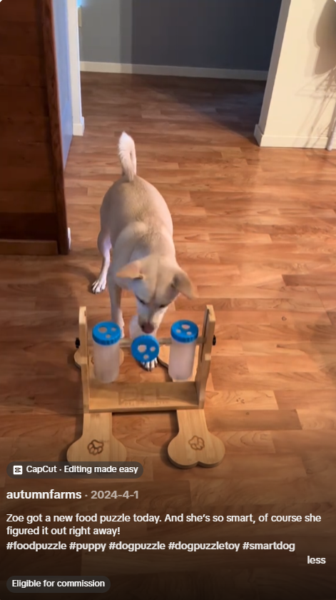 Dog Puzzle Feeder TikTok UGC